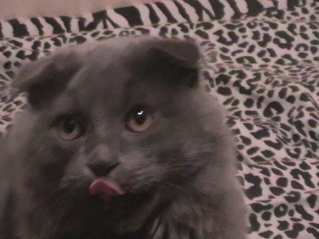 Владимир Хлопков | Запорожье