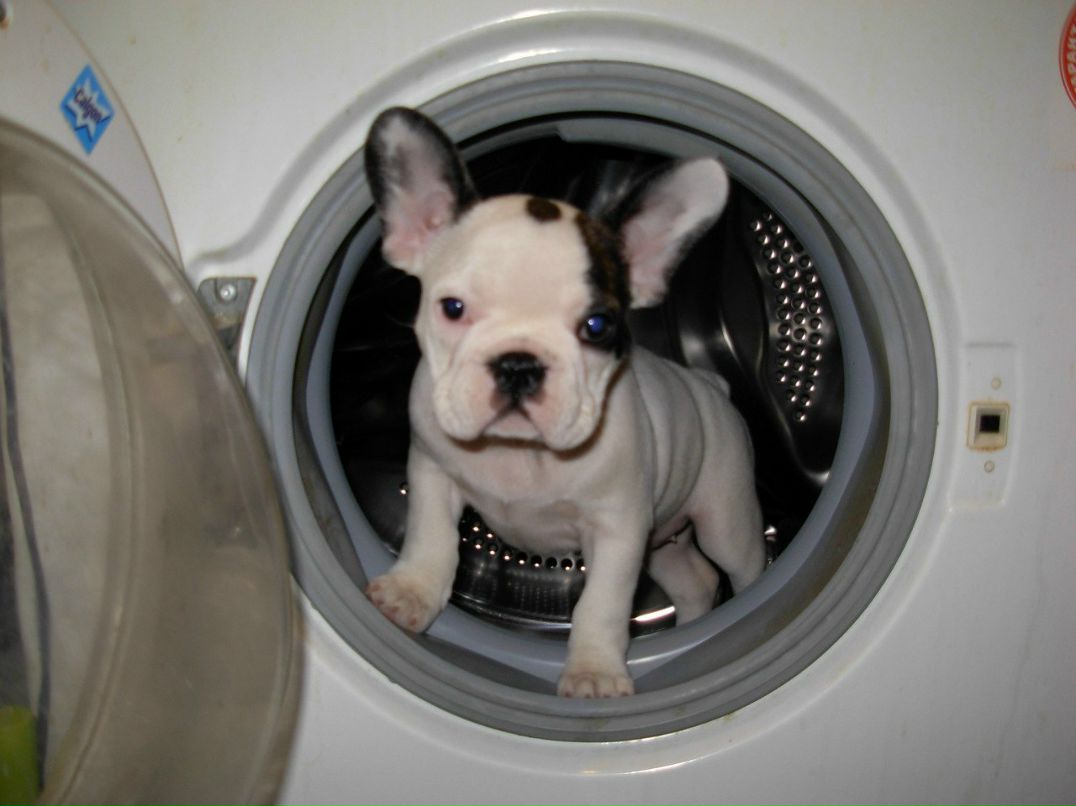 Ксения Дыгерн | Москва