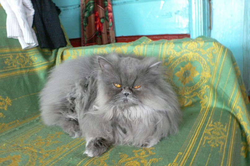 Мария Леонтьева | 