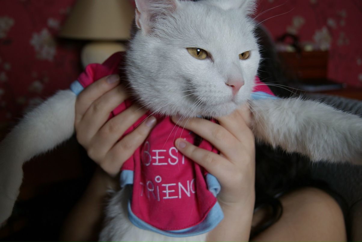 Марина Восторгина | Москва