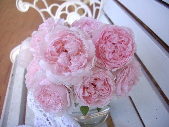 Ольга Ефимова | Псков