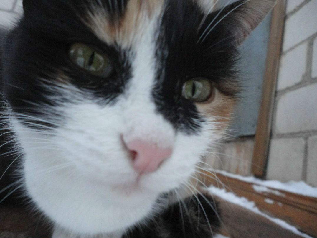 Фанис Ганиев SONY | Уфа