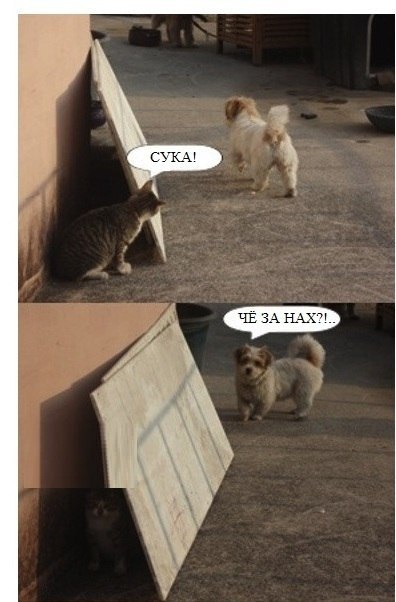 Кирилл Пархоменко | Новосибирск