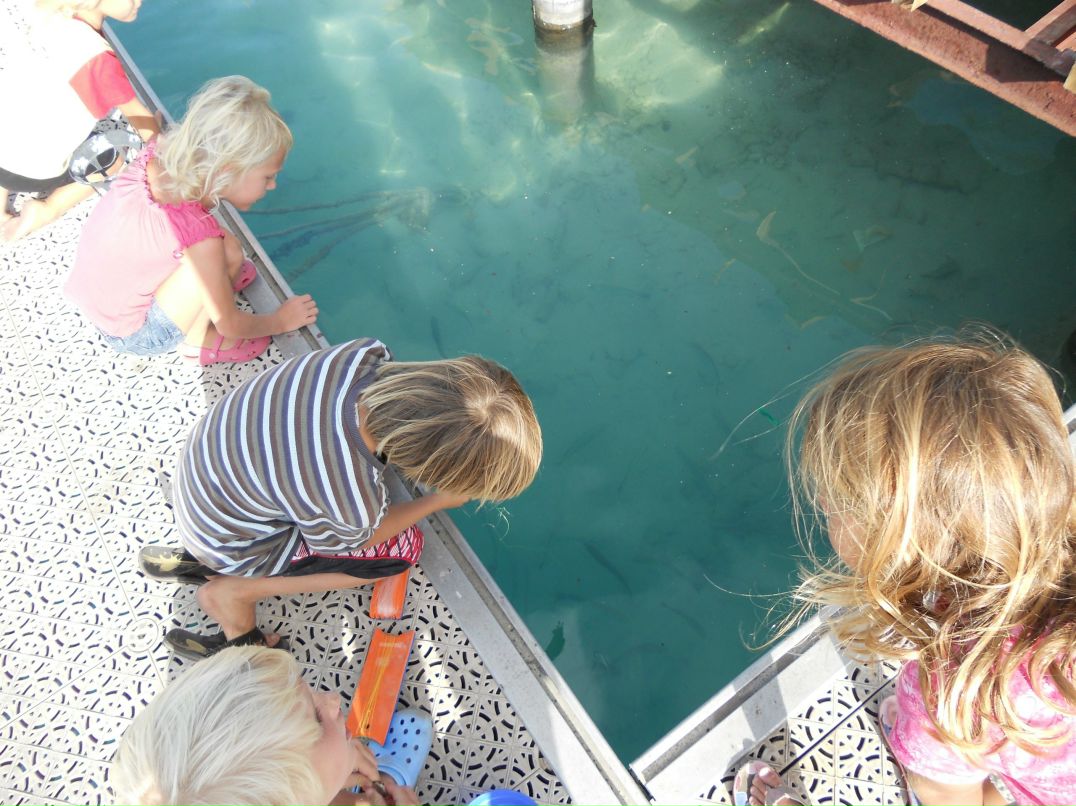 Сергей Якушев | Рыбинск