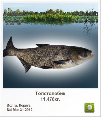 Вадим Лобачев | Раменское