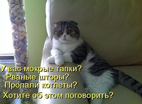 №27, Анна Вовк, 48 лет, Львов №27, Анна Вовк, 48 лет, Львов