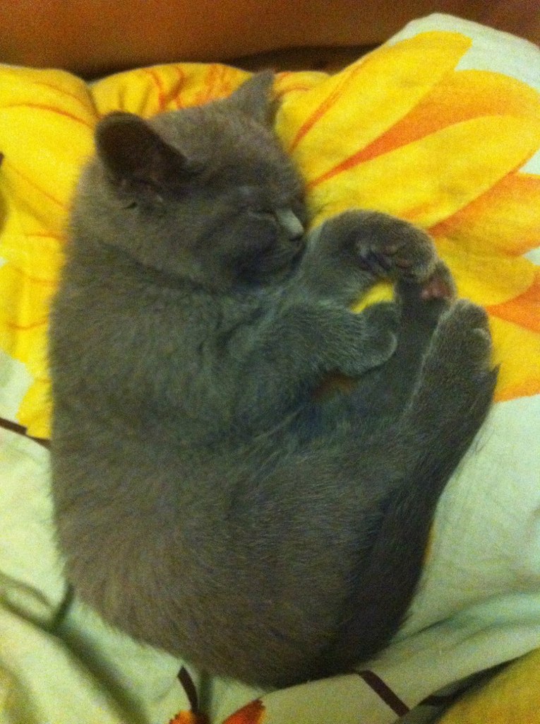 Мария Никитина | Москва