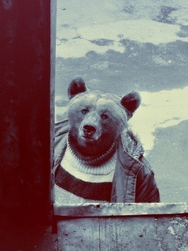 Максим Анохин | Москва