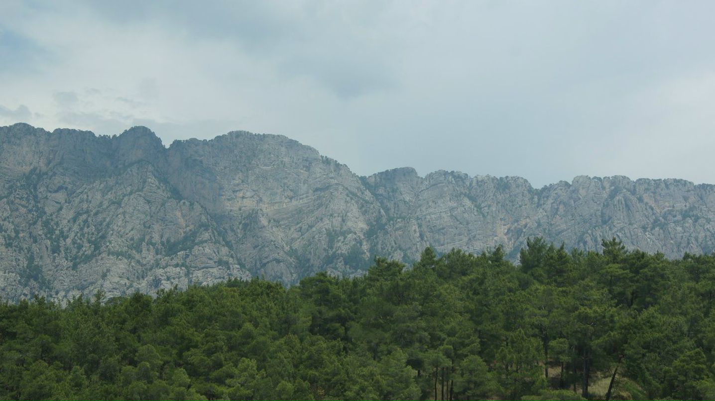 Денис Косторнов | Алматы