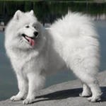 Серёжа Шиханов | Москва