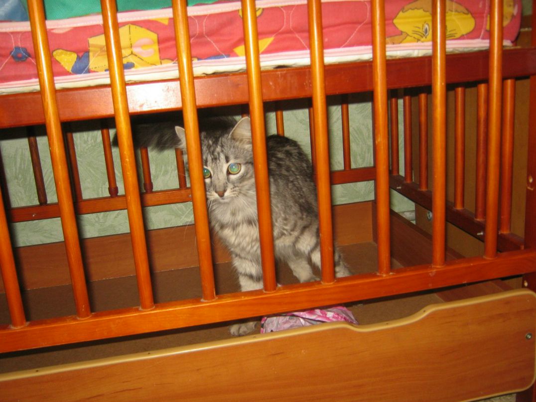 Настюшка Саенко | Лисичанск