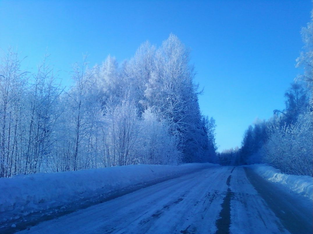 Дмитрий Салтанов | Яренск