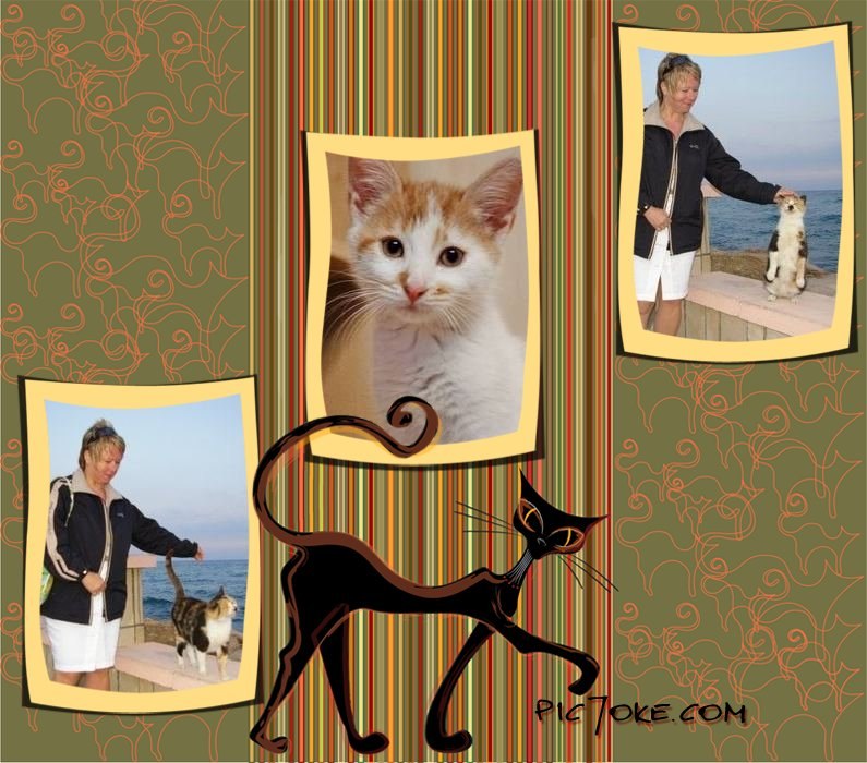 Светлана Алексенина | Санкт-Петербург