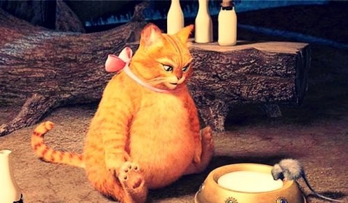 Дария Шагжиева | 