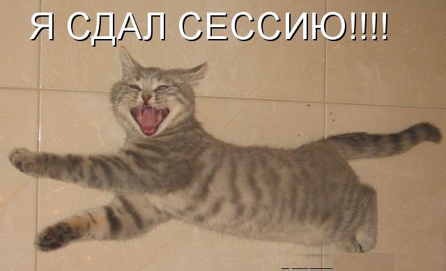 Ольга Селянто Милое_солнышко | Salerno