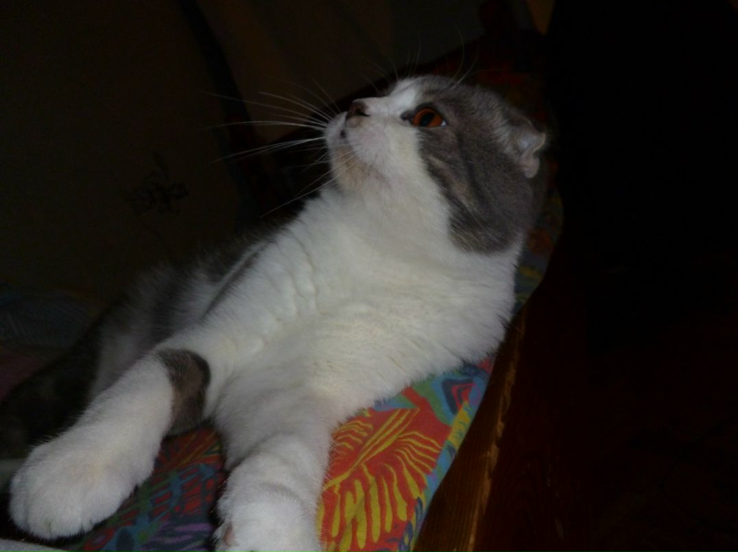 Александра Николина | Москва