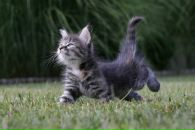 №20 Мария Никитина : профиль, фото, статус - ВКонтакте