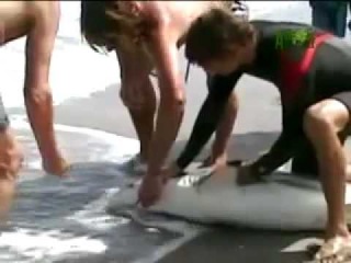 chut-ne-otkusila-mne-chlen