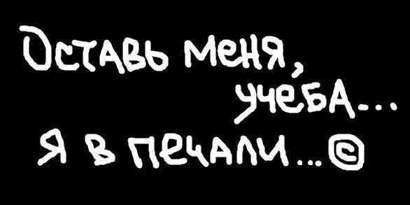 №31, Edik Pahalan, 37 лет, Ростов-на-Дону №31, Edik Pahalan, 37 лет, Ростов-на-Дону