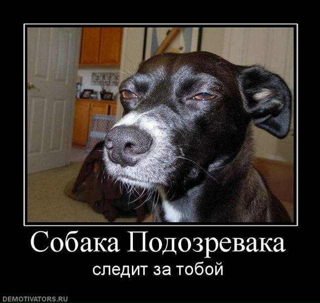 №49, Алёна Зубкова, 36 лет, Киев №49, Алёна Зубкова, 36 лет, Киев