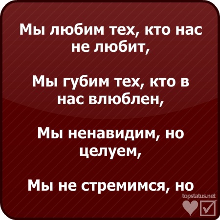№17, Вероніка Перепелиця, Жовква №17, Вероніка Перепелиця, Жовква