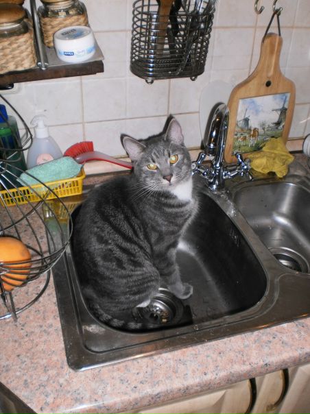 №22, Семён Заборин, 41 год, Санкт-Петербург №22, Семён Заборин, 41 год, Санкт-Петербург