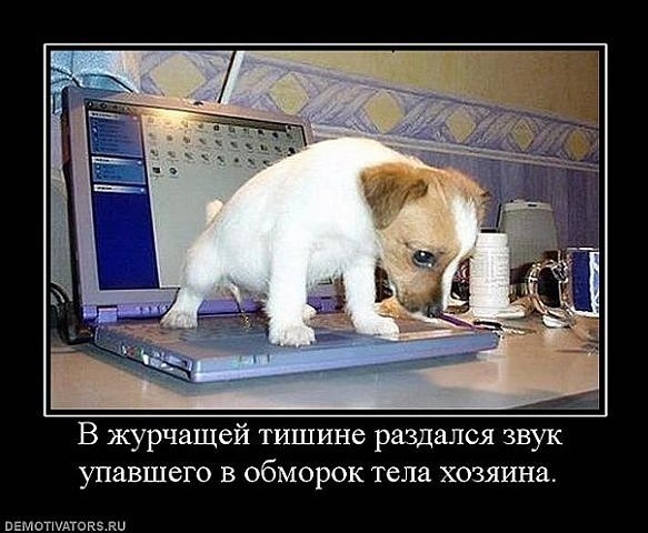 №58, Колька Осетров, 34 года, Кривой Рог №58, Колька Осетров, 34 года, Кривой Рог