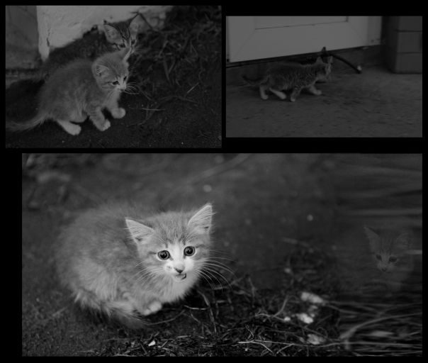 №25, Антон Резаков, 40 лет, Сыктывкар №25, Антон Резаков, 40 лет, Сыктывкар