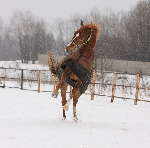 №144, Полечка Максимова, Санкт-Петербург №144, Полечка Максимова, Санкт-Петербург