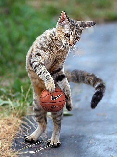 Дима Чураков | Ижевск