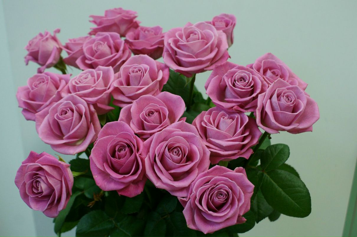 Оксана Башинская | Северодвинск