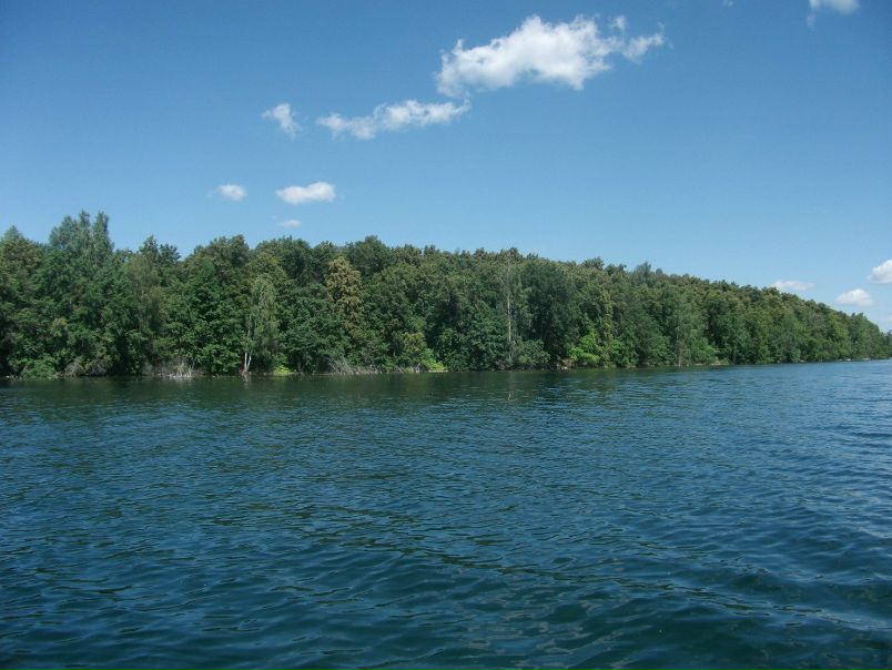 №82, Святослав Швабауэр, 32 года, Москва №82, Святослав Швабауэр, 32 года, Москва