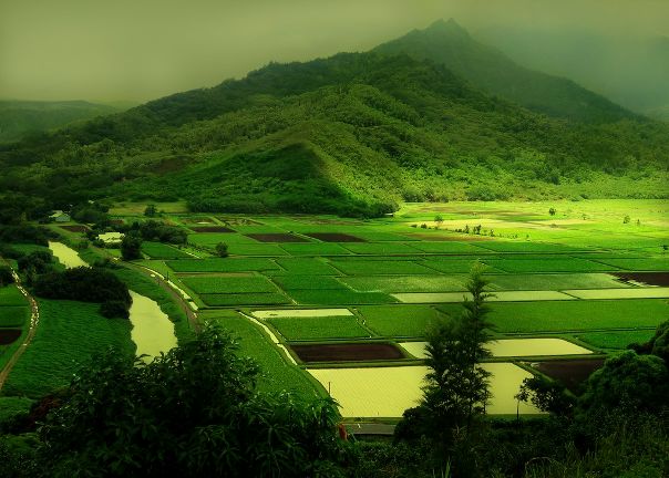 №47, Виталий Захарчук, Одесса №47, Виталий Захарчук, Одесса