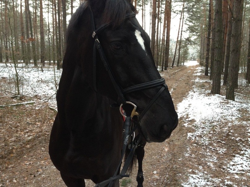 Max Barinov BARIN | Москва