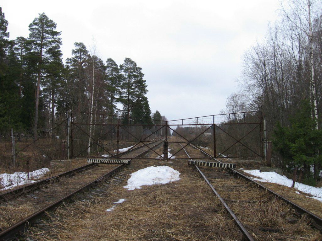 Александр Белевский 88 | Москва