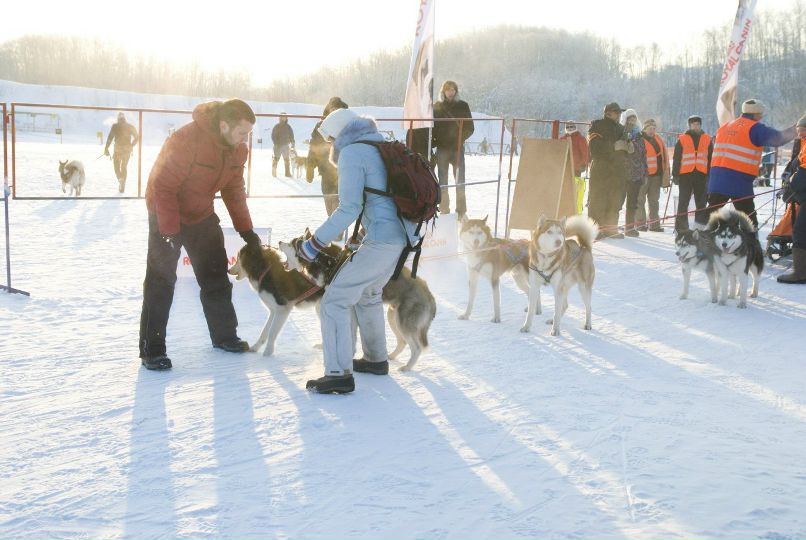 Аня Удовенко | Санкт-Петербург