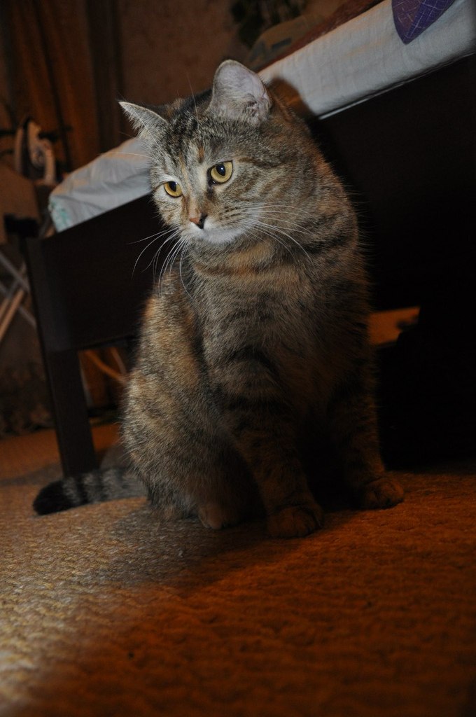 Юлия Петрова | Мытищи