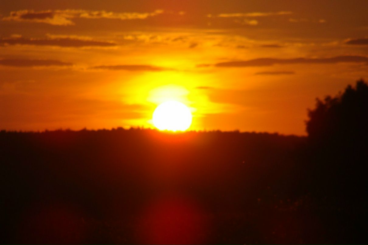 Наталья Меркулова | 