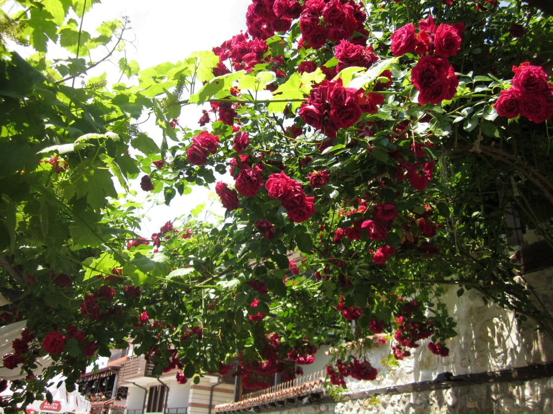 Юлия Неганова | Москва