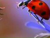 Надежда Савенкова | Курск