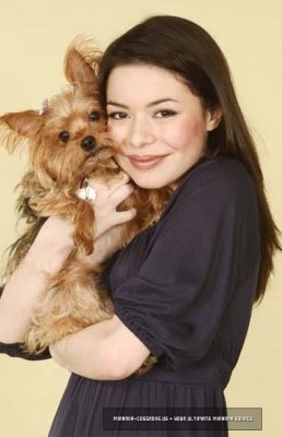 №5, Миранда Косгров №5, Миранда Косгров