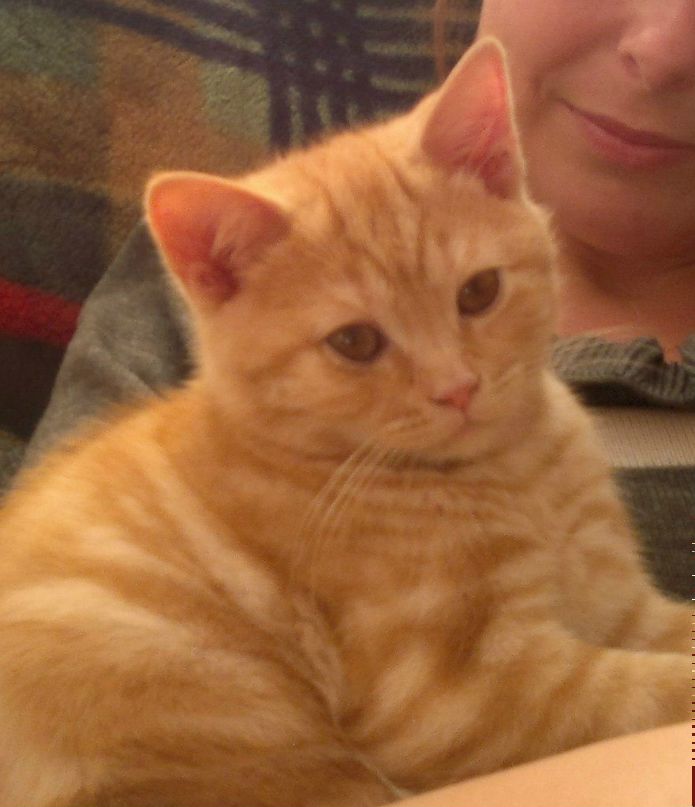 Ольга Ионова | Краснодар