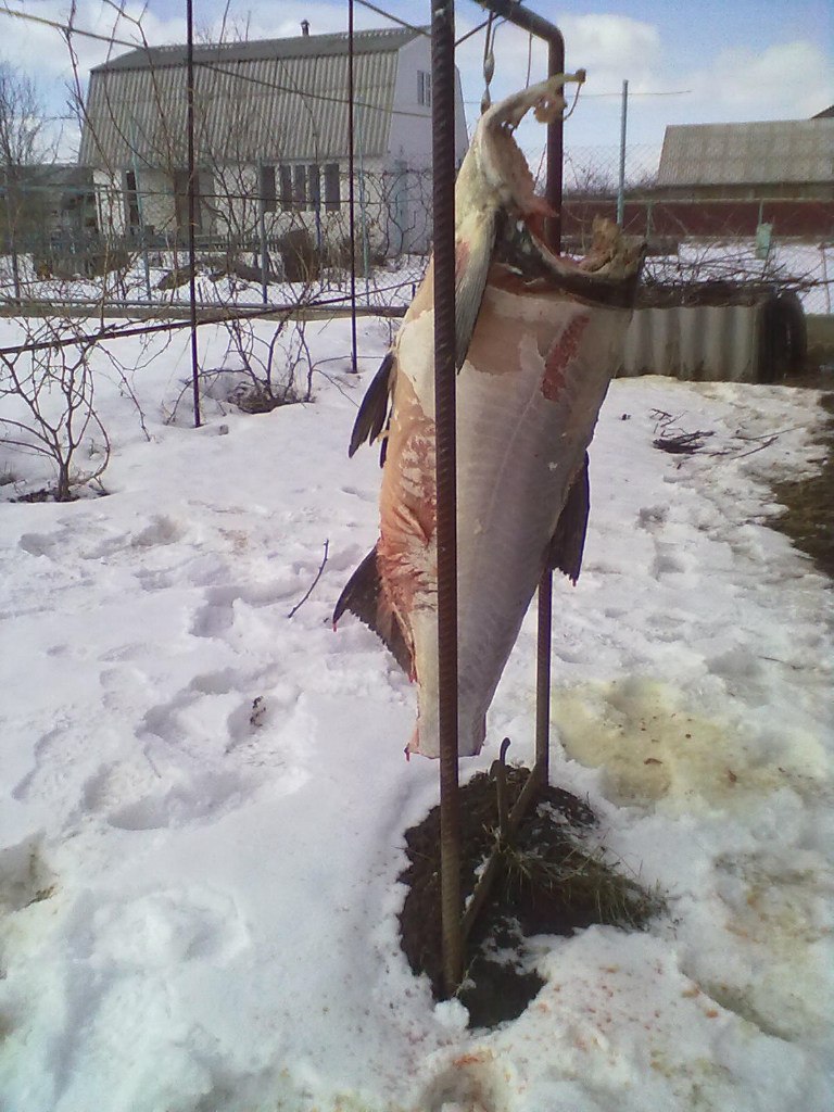 Андрій Гандзій Миколайович | Новоднестровск