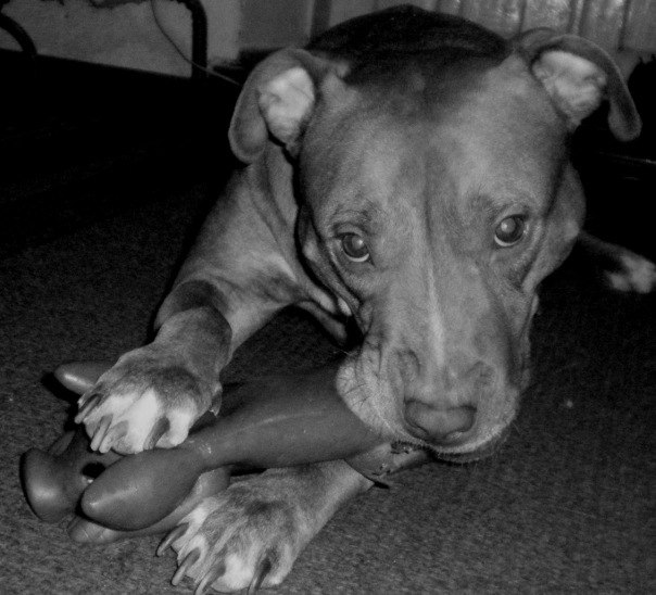 Анастасия Златова | 