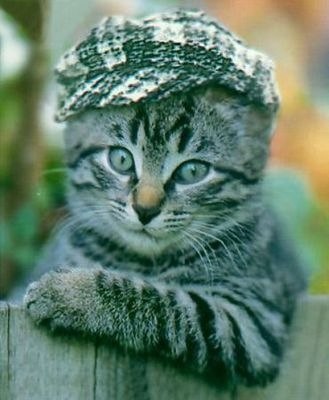 Alex Bond | Москва