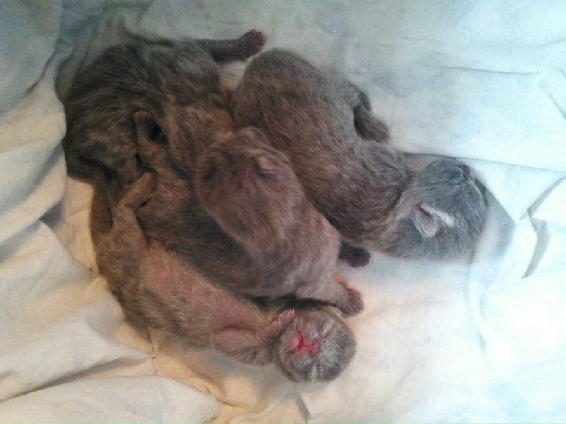 Вова Хомченко | Москва