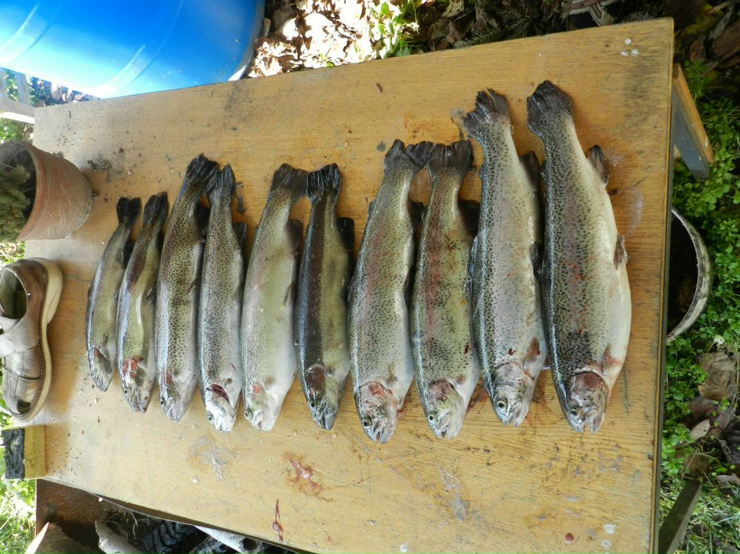 Евгений Шевченко &&ШЕВЧУK&& | Сочи