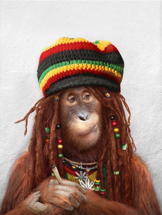 Женек Колабин © | Тула