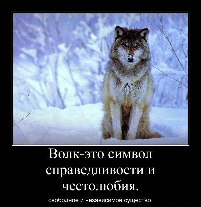 Иван Тюрин | Бежецк