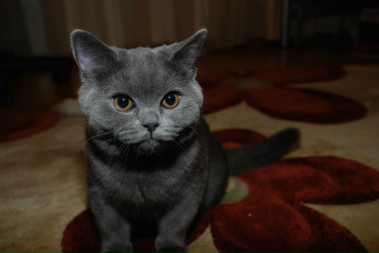 Валерия Яценко | Москва